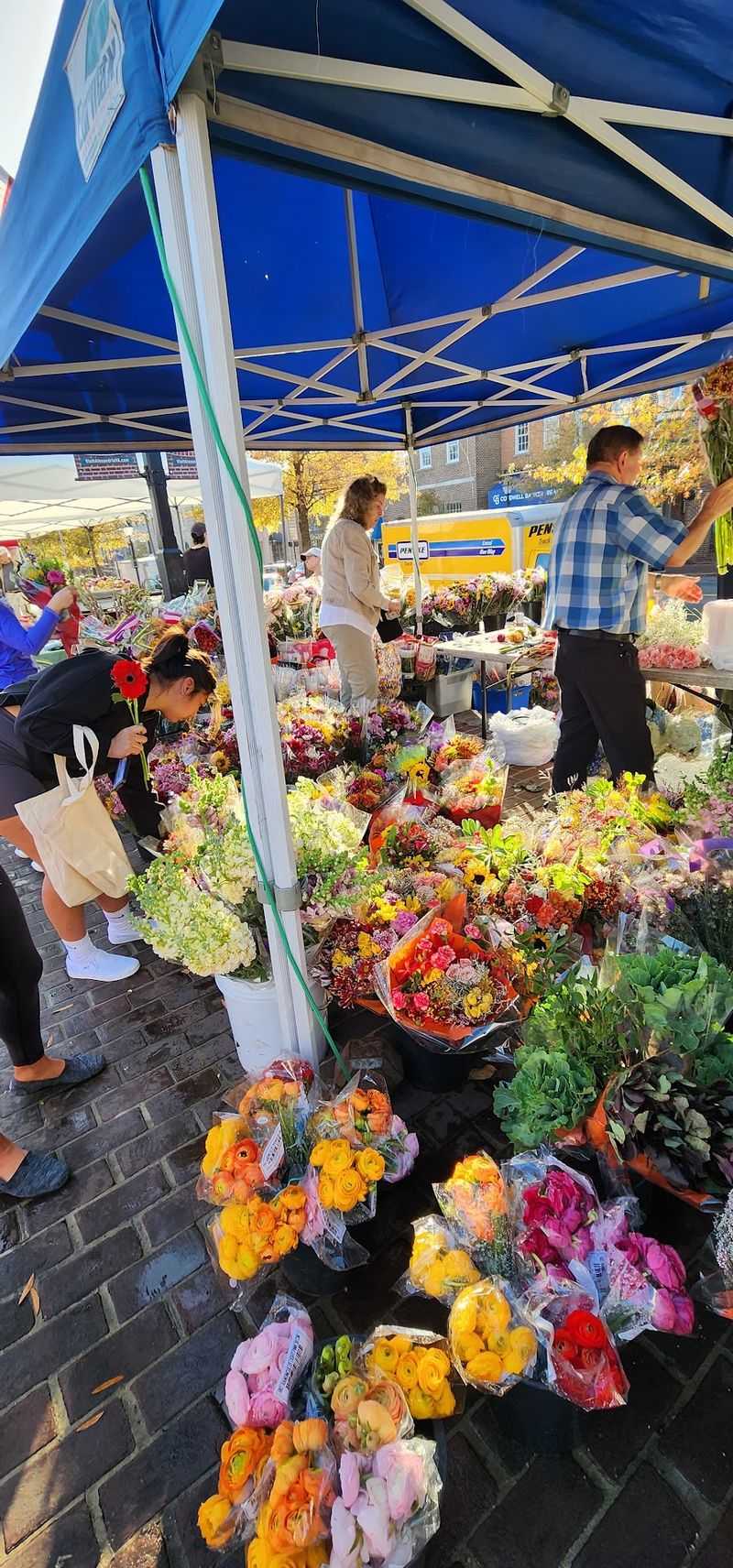 Old Town Farmers' Market, Alexandria