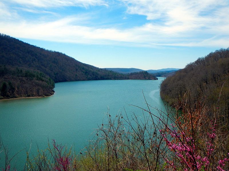 43 Miles of Wooded Shoreline Waiting to Be Discovered
