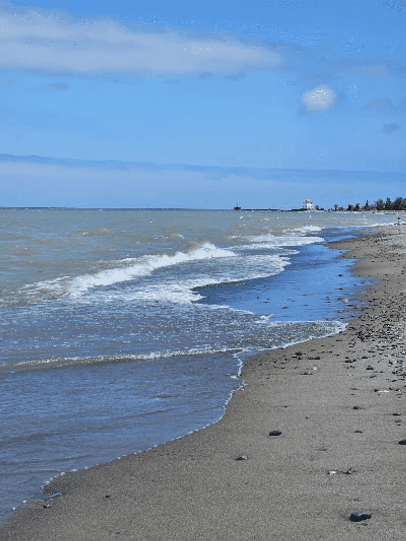Windy Days Can Refresh the Shoreline