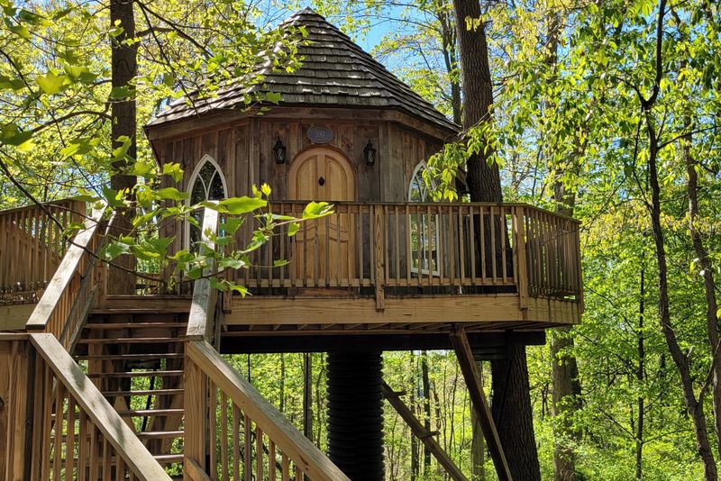 The Mohicans Treehouse Resort and Wedding Venue - Glenmont