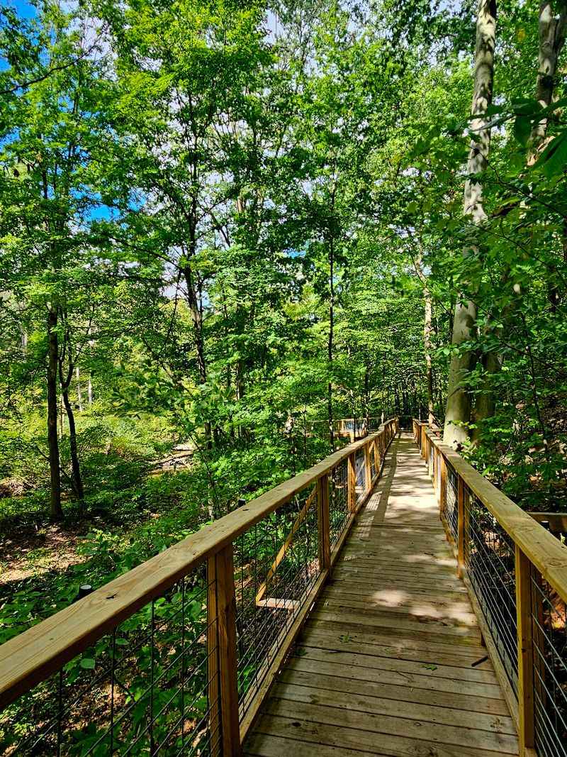 Woodland Trails Give the Day Its Slow Rhythm