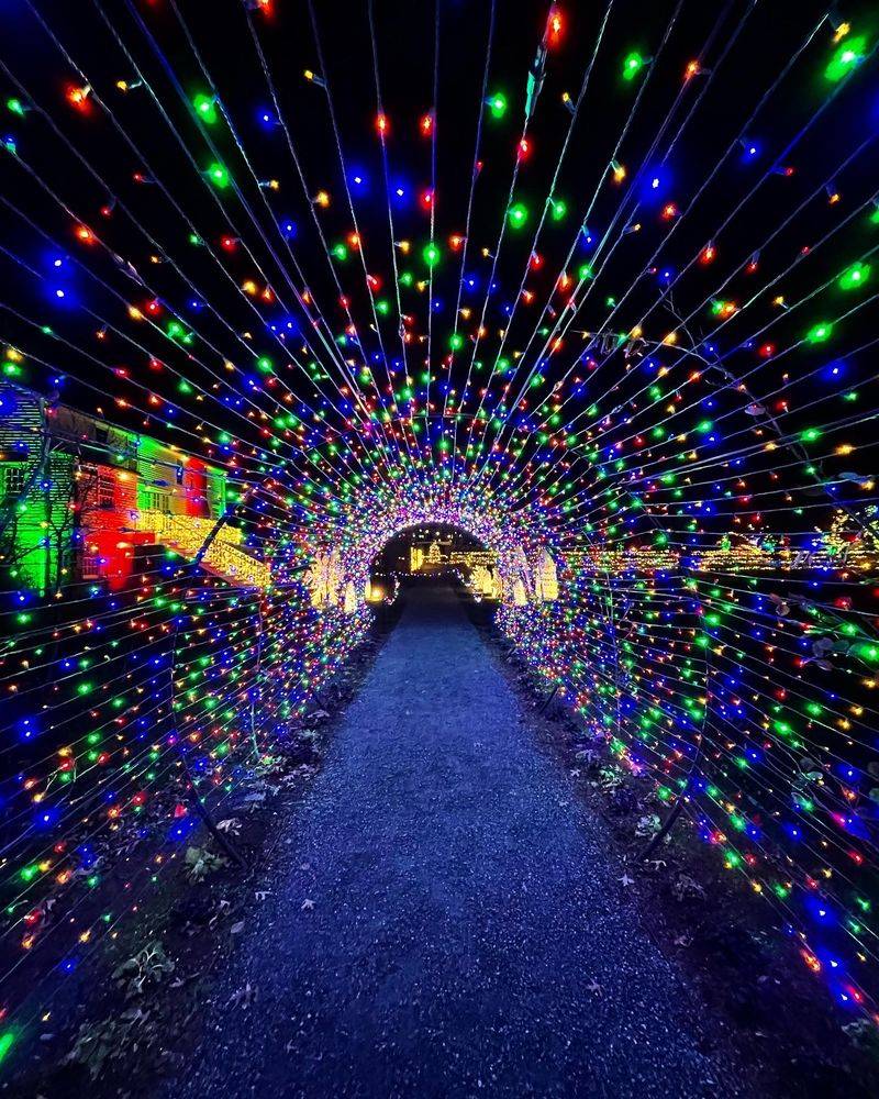 WinterLights Display That Transforms Frost Into Fairy Tale