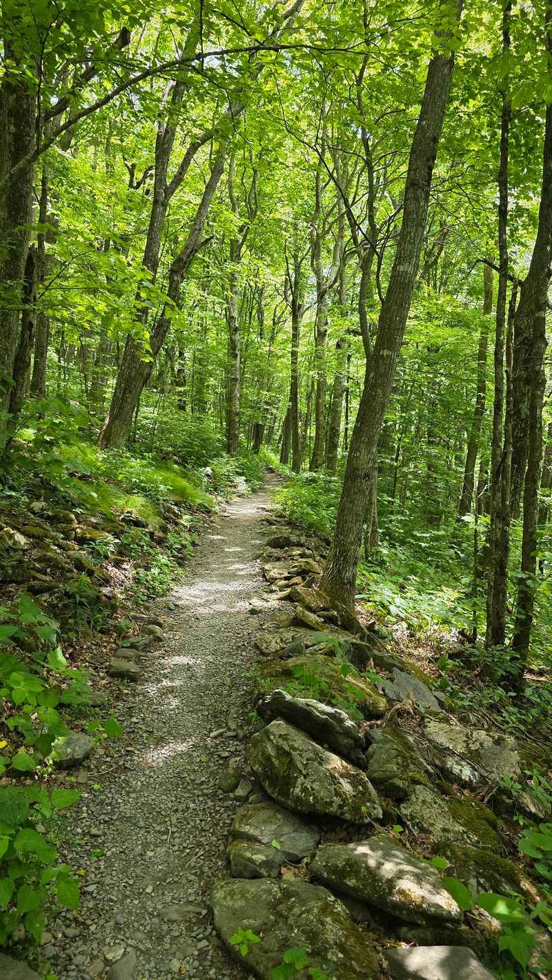 The Hidden Trails of Elk Knob State Park (Todd)