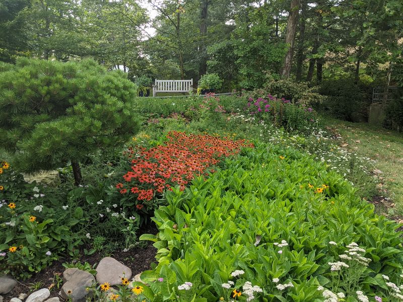 Edith J. Carrier Arboretum (Harrisonburg)