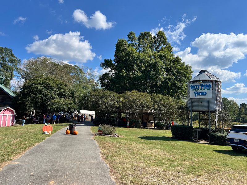 The Opening Day Rush That Defines Summer