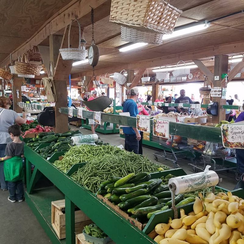 Jaemor Farms - Alto