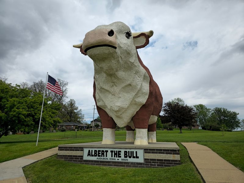 Albert the Bull - Audubon
