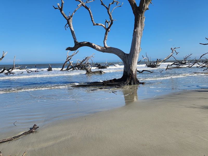 Boneyard Beach Feels Wild And Movie-Like