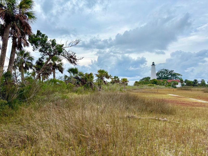 A Birdwatching Spot That Feels Electric