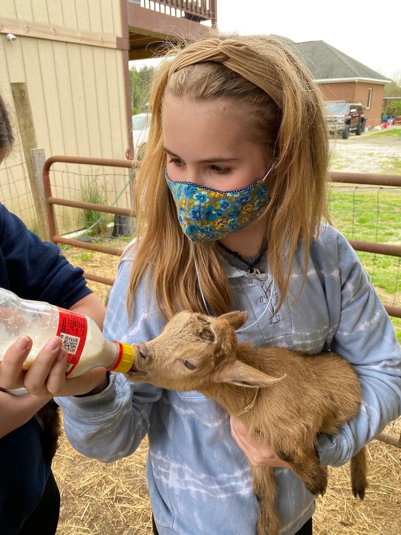 Riverwatch Farm LLC - West Point