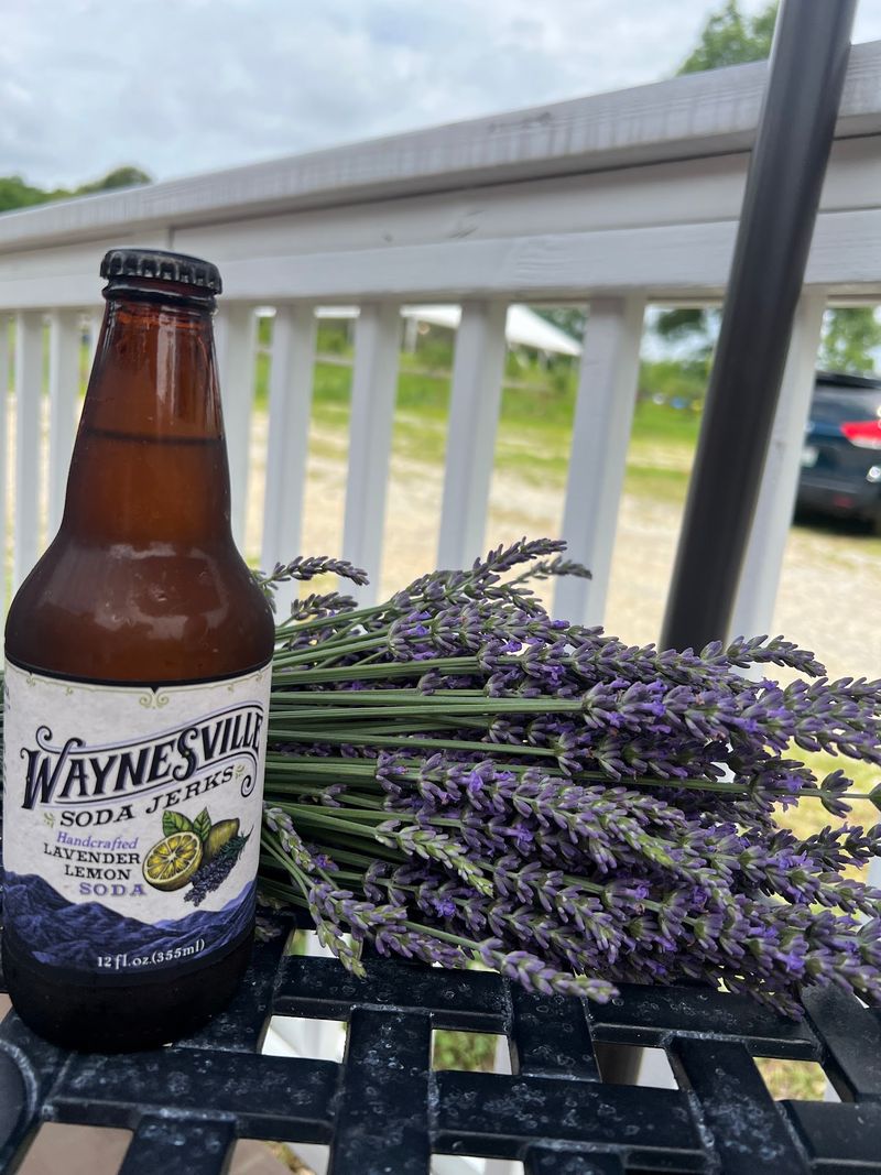 Lavender Treats Add A Tasty Twist