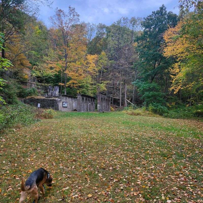 For Dogs Who Like a Challenge - Quinnipiac Trail