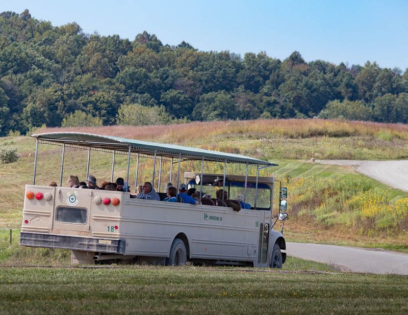 Open Air Safari Buses That Change the Whole Mood