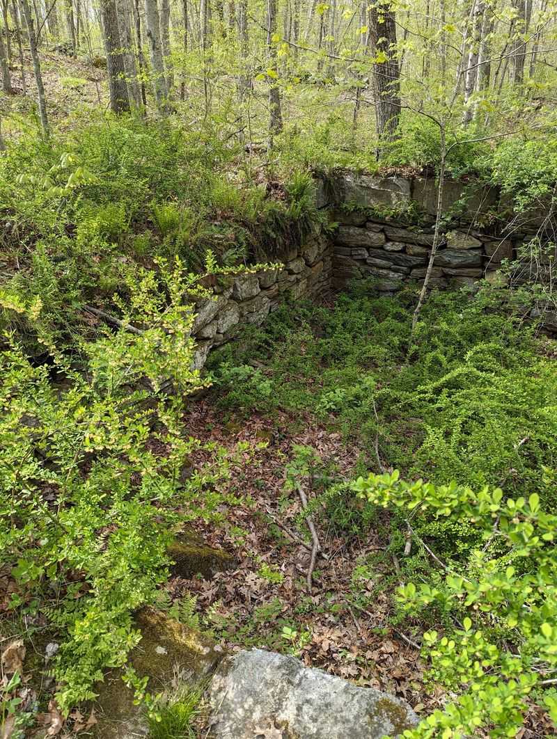Cellar Holes Where Homes Once Stood