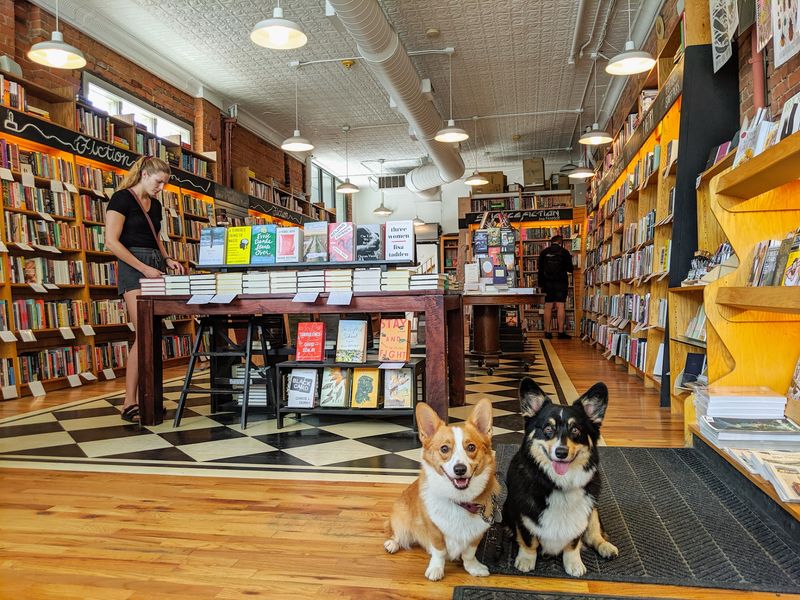 Bringing Your Furry Reading Companion Along