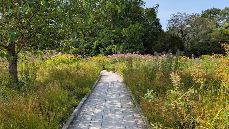 Double Perennial Borders Bursting With Year-Round Color