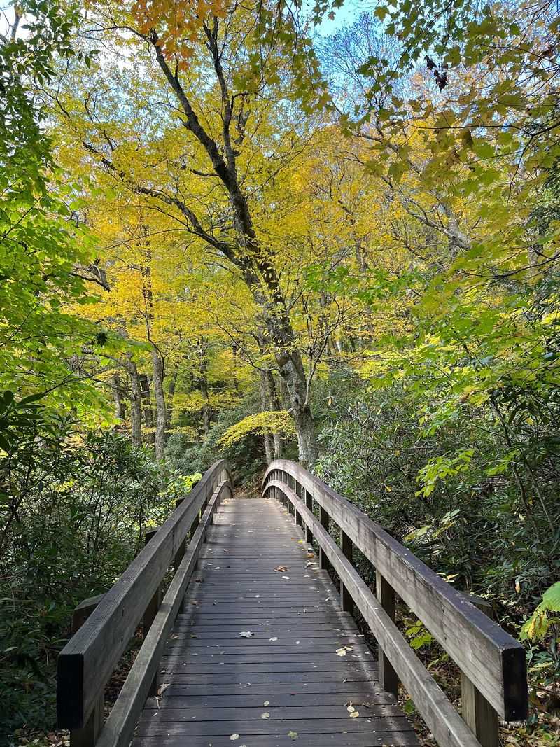 Cross the Wooden Bridge Over the Cascade