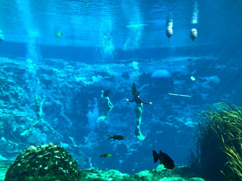 Those Mermaids Are Doing Much More Than Just Swimming