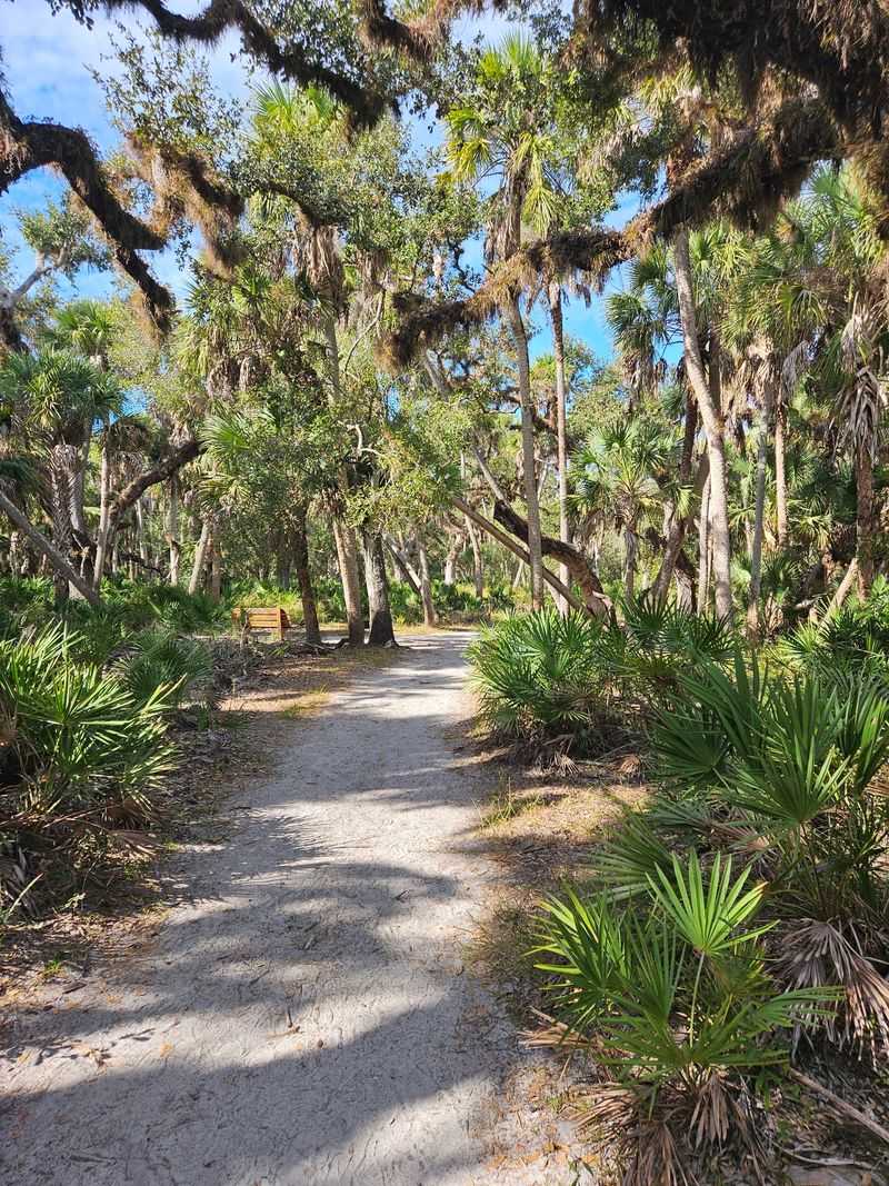 Inside A Florida State Park Treasure