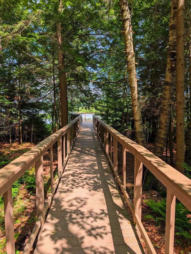 Views That Change the Forest