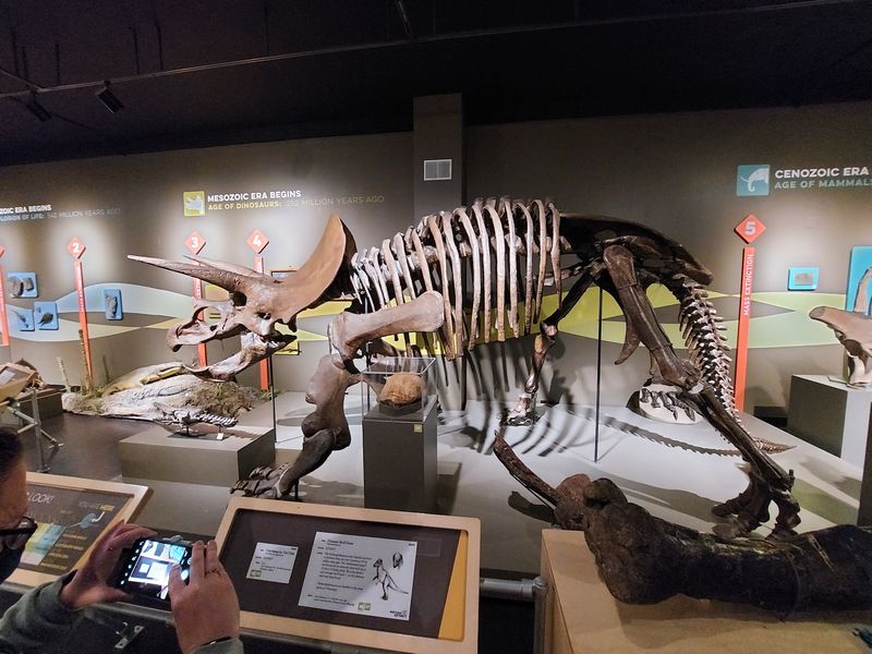 Buffalo Museum of Science