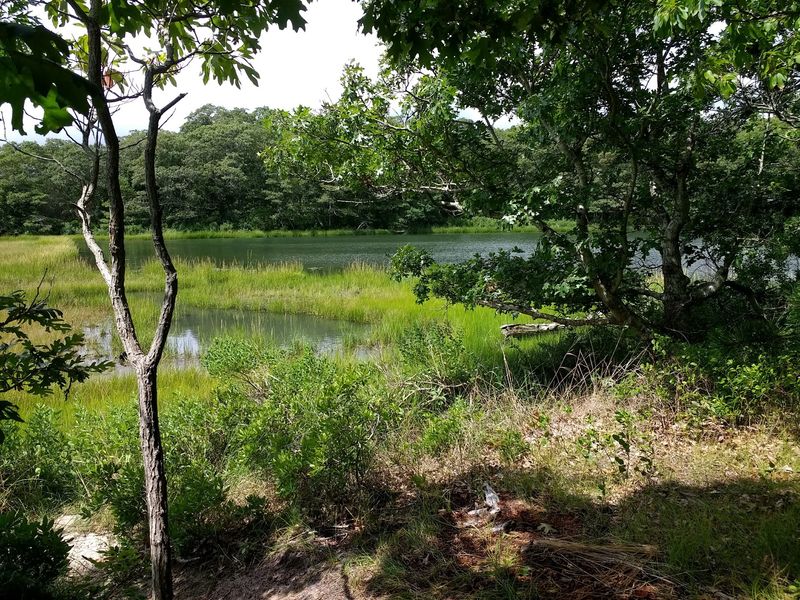 Wildlife and estuary scenery shape the whole experience