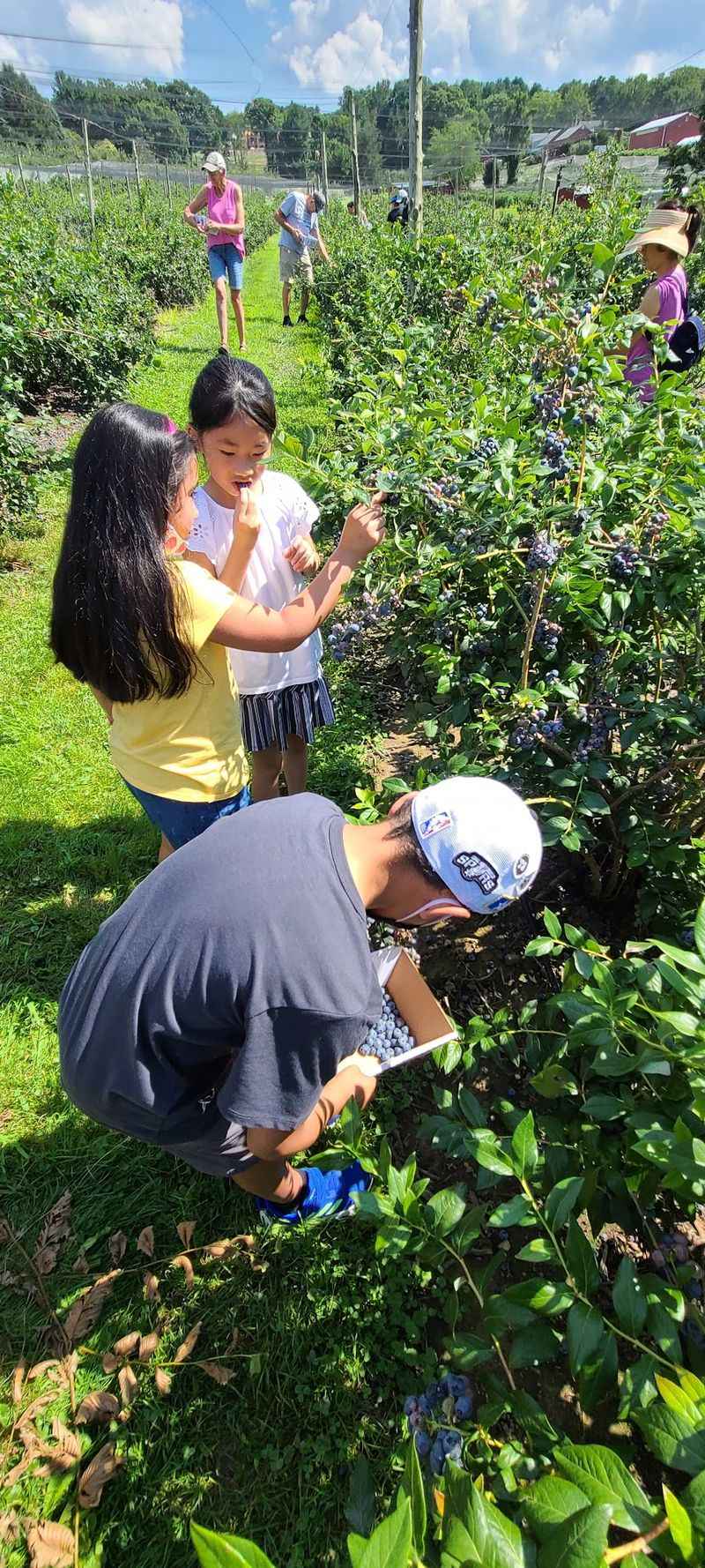 A Good Destination for Families and Seasonal Day Trips