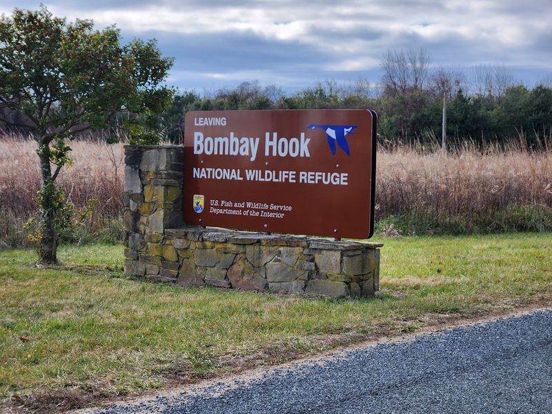 Bombay Hook National Wildlife Refuge - Smyrna