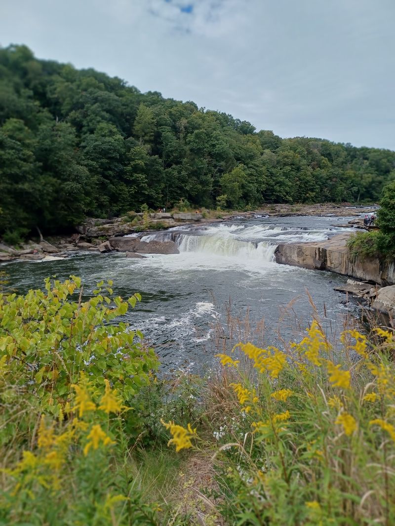 Ohiopyle: Waterfalls, River Adventures, and Free Outdoor Fun