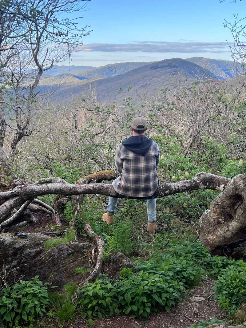 Craggy Gardens Overlook, Asheville, Buncombe County