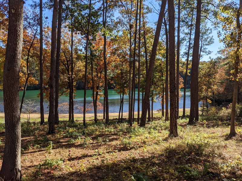 Cliffs of the Neuse State Park - Seven Springs