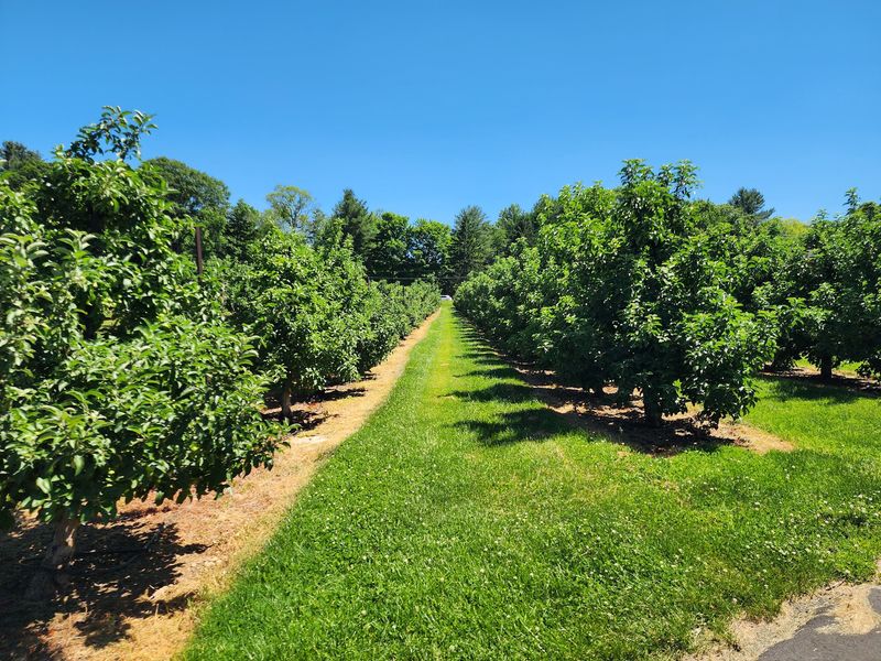 A Family Farm With More Than a Century of History