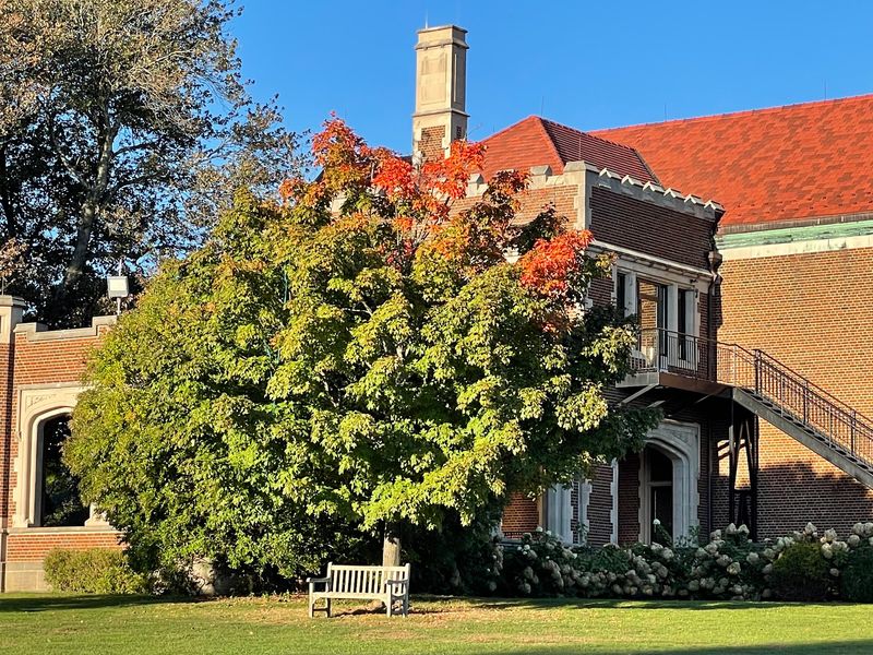 A Storybook Mansion at the Center