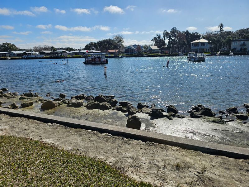 Where the Bay Adventure Begins