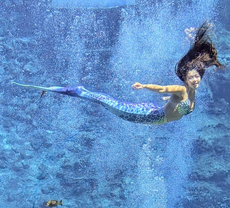 The Mermaid Show That Made Weeki Wachee Famous