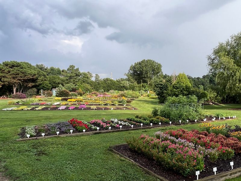 A World of Plants in Just 10 Acres