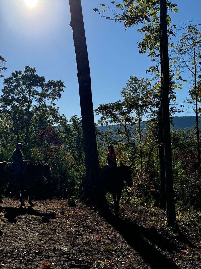 Ride Through the Heart of the North Georgia Mountains