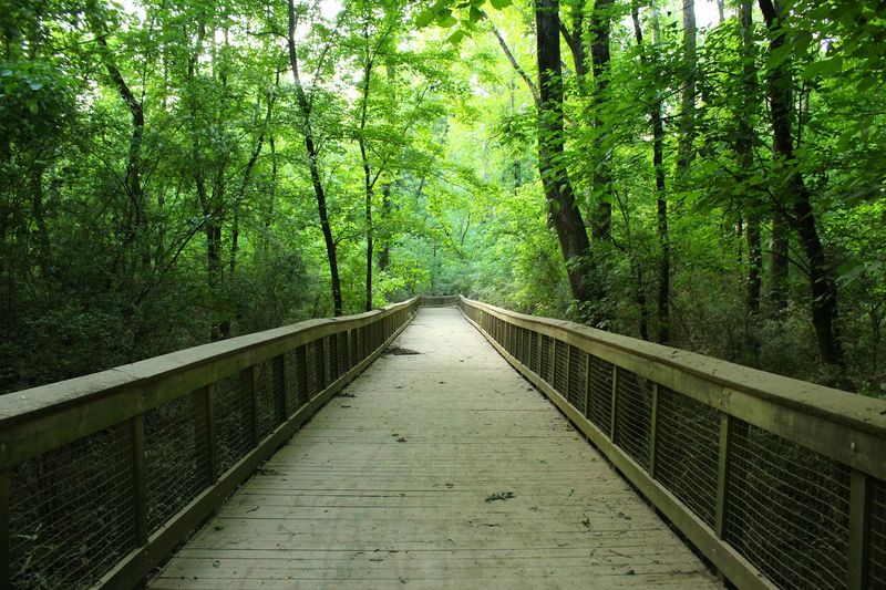 A Scenic Riverside Trail That Invites You to Slow Down