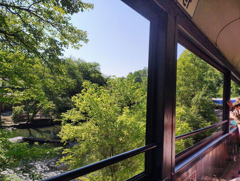 A Scenic Train Ride Through North Georgia's Mountain Country