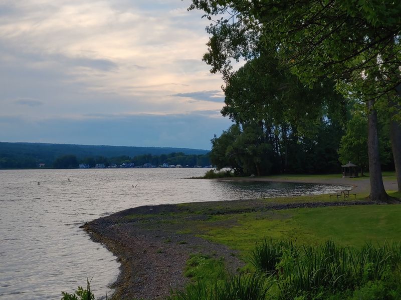 A Shoreline Seat On A Rare Y-Shaped Lake