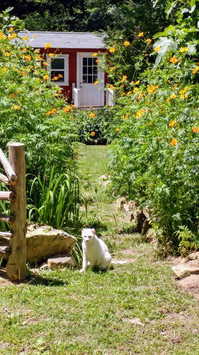 A Sanctuary That Feels Different