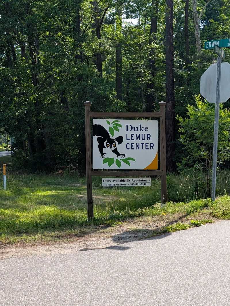 A Remarkable Lemur Haven Hidden in Duke Forest