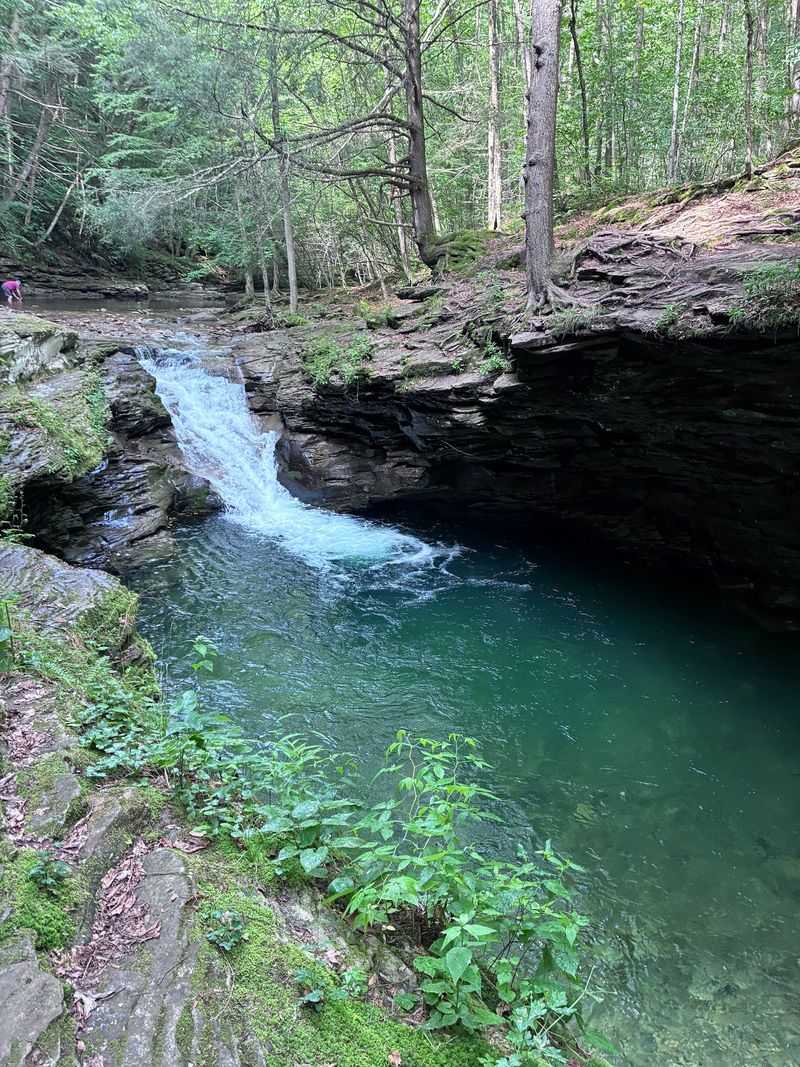 Discover Upper Rock Run Falls in the McIntyre Wild Area