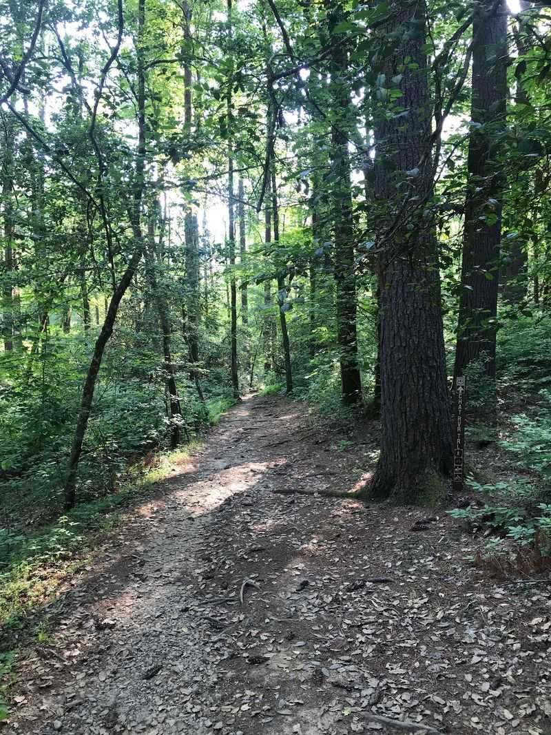 A Short Trail With a Big Payoff