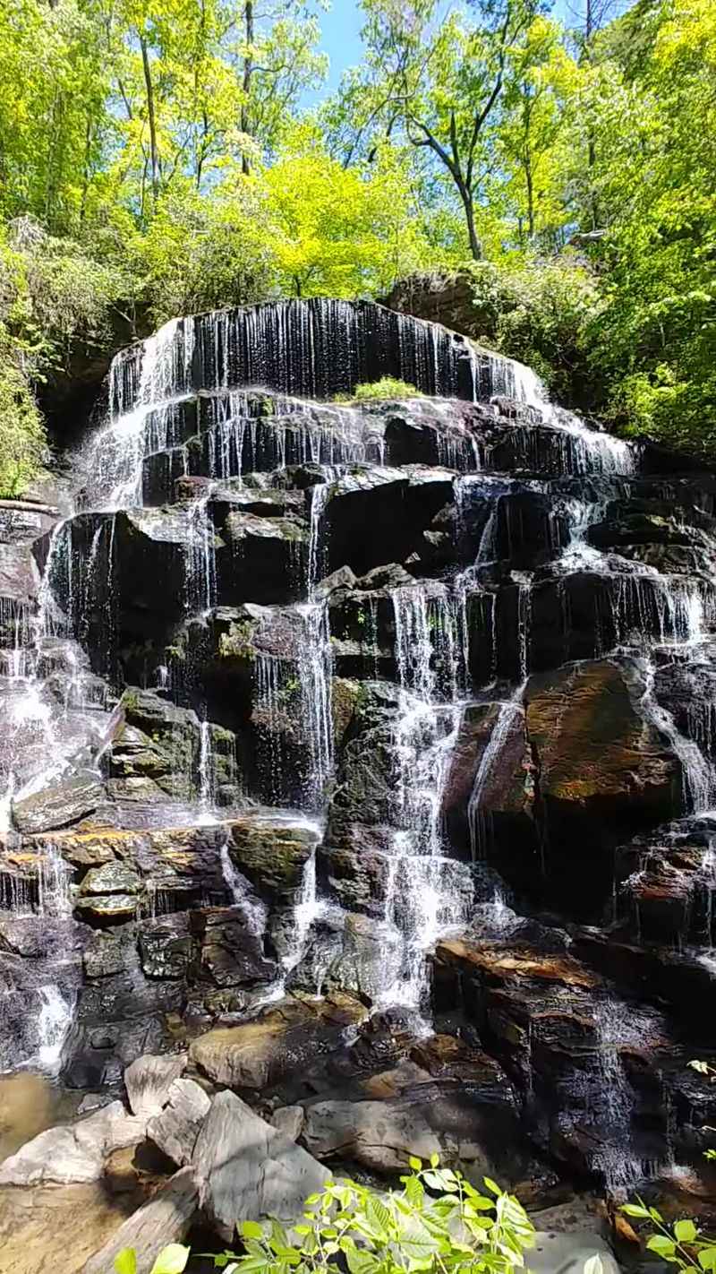 Yellow Branch Falls, Walhalla, Oconee County