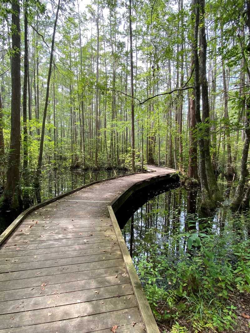 The 1,150-Foot Boardwalk Steals the Show