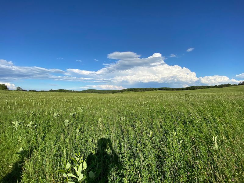 Big Meadows, Elkton, Rockingham County