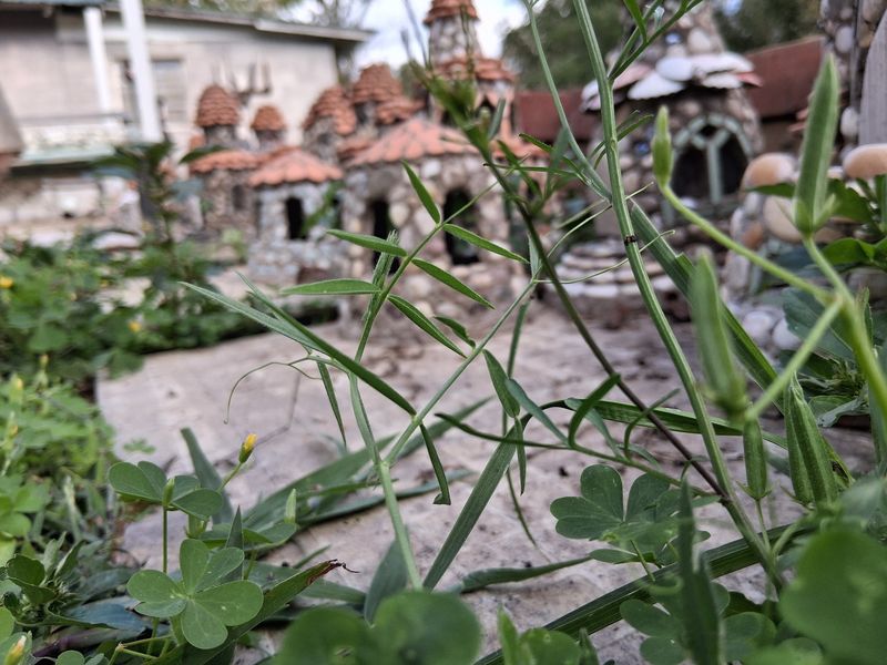 Plants That Make the Magic Feel Real