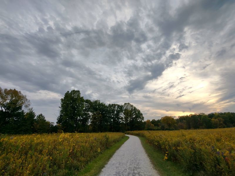 Creek Sounds and Gentle Hills - Spring Creek Trail, Sharon Woods Metro Park