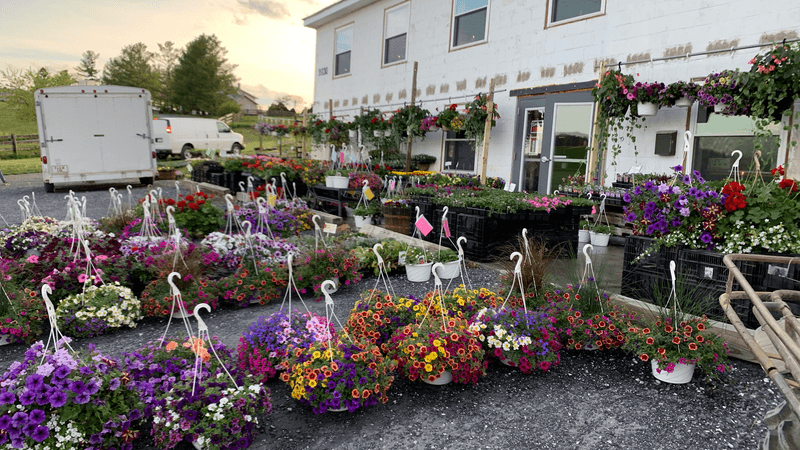 Food, Trails, and City Energy - Harrisonburg, Rockingham County